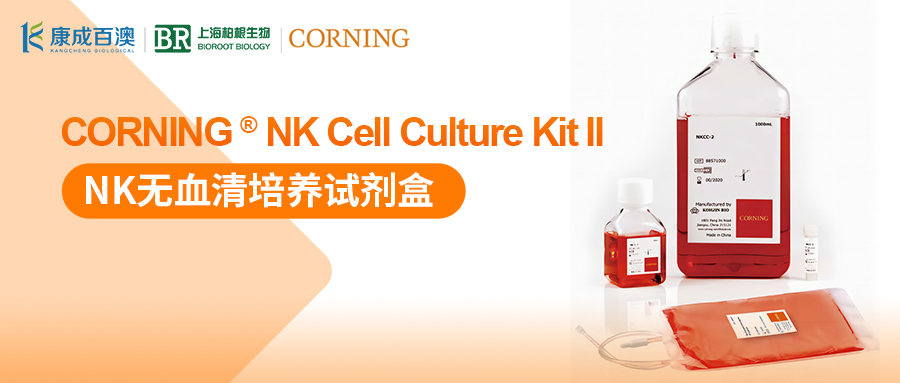 【产品促销】Corning NK无血清培养试剂盒